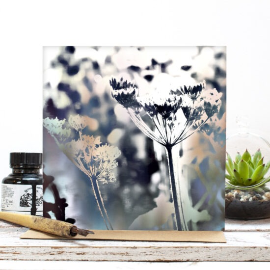 Floral greetings card featuring cow parsley flowers.