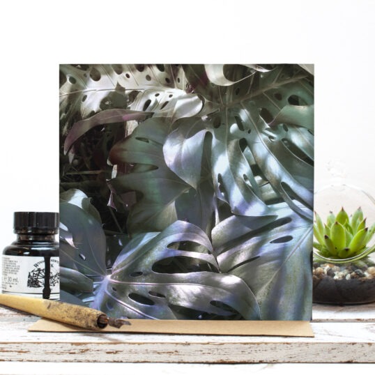 Greetings card featuring a photographic picture of monstera leaves in purple, blue and grey.